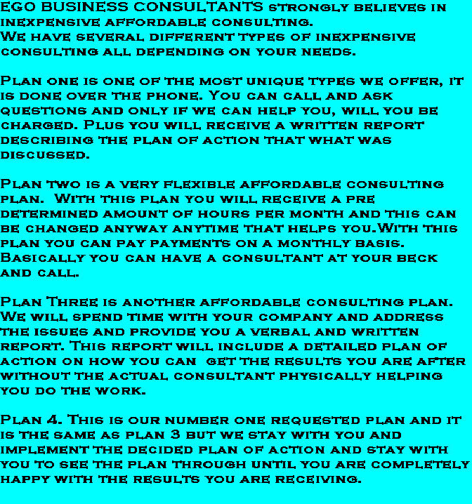 ego_business_consultants_jan_2010007006.jpg